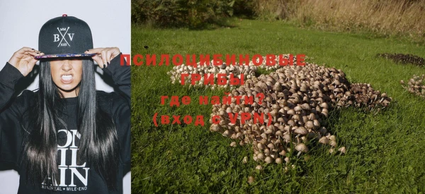 дживик Балабаново