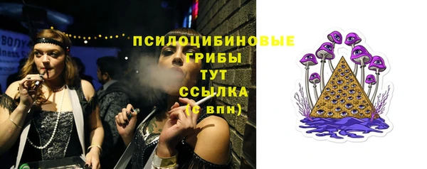 Альфа ПВП Баксан